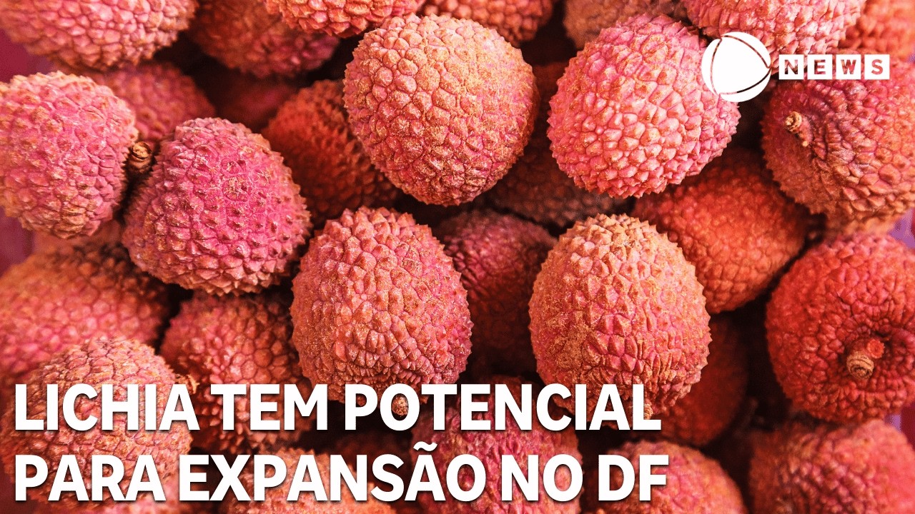 Lichia tem potencial para expansão no Distrito Federal