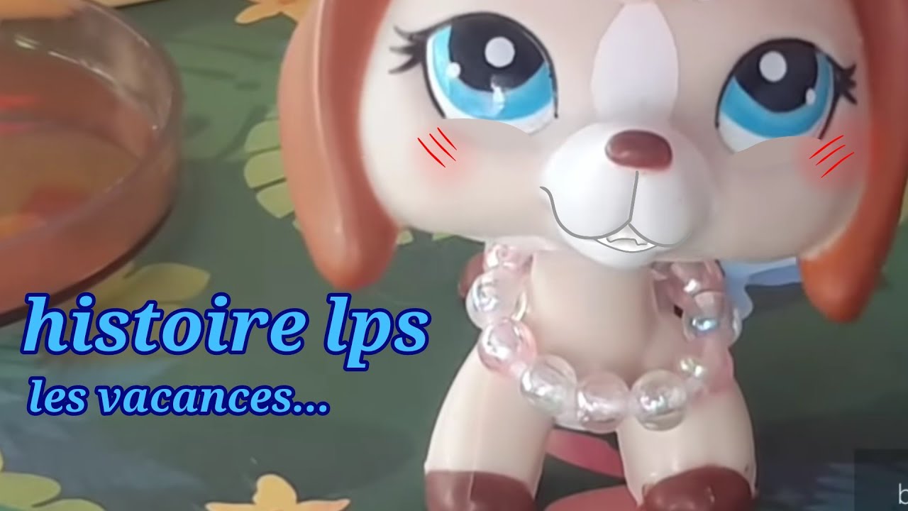 Histoire petshop - les vacances .....