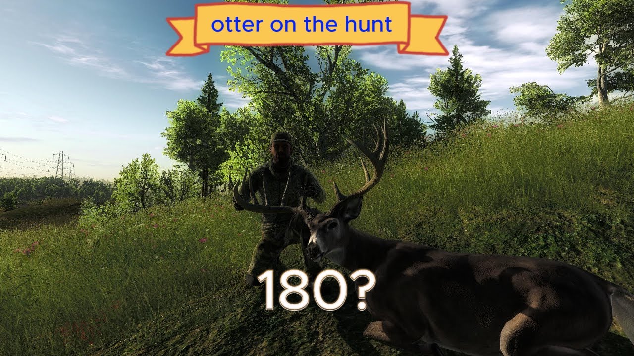 whitetail hunt on loggers point  (the hunter classic)