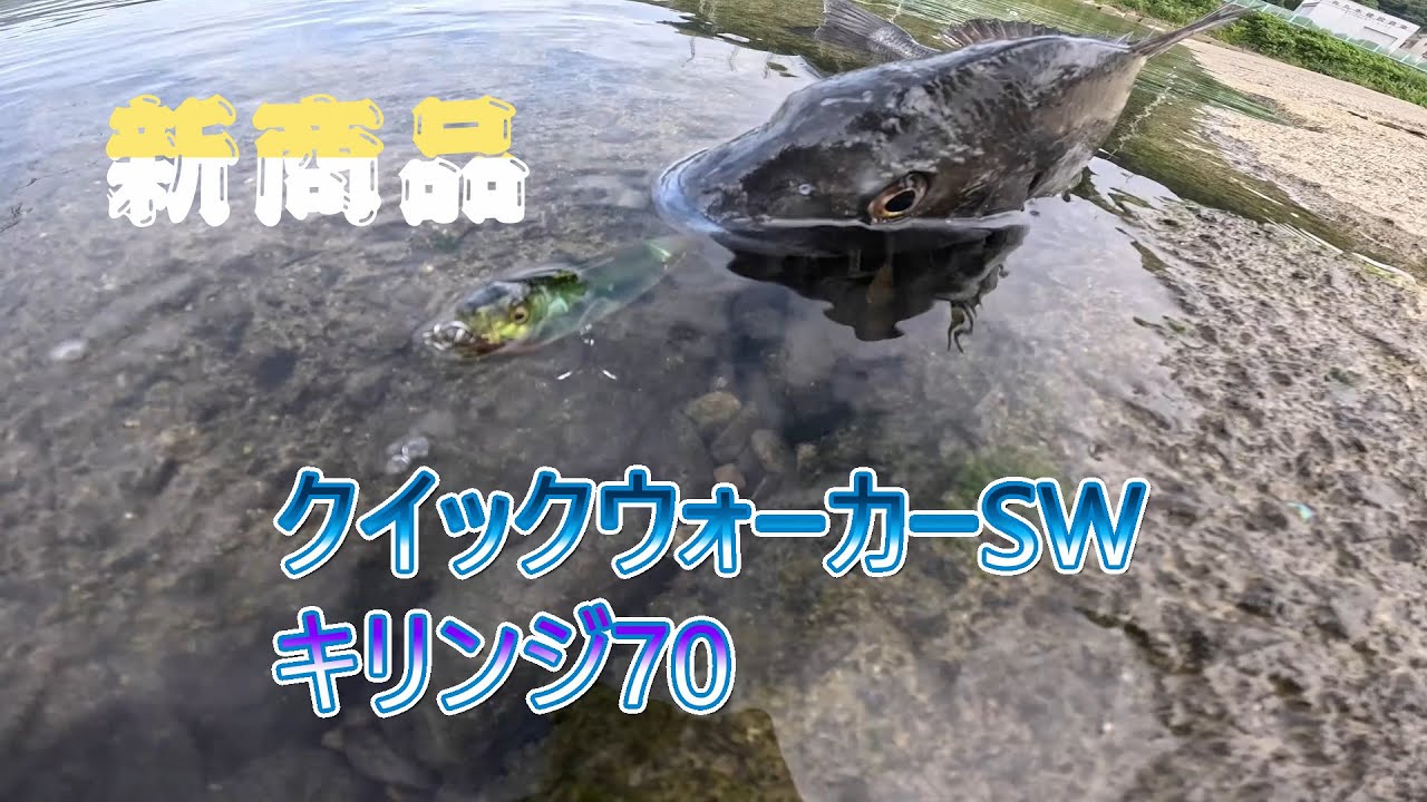 新商品すごい反応だ!!　Megabass新商品　クイックウォーカーSW キリンジ70