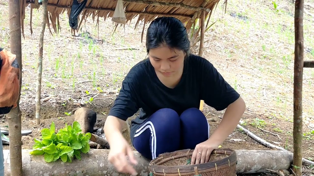 Dini Gadis Dayak beraktivitas sendirian di Pondok Ladang Hutan Kalimantan