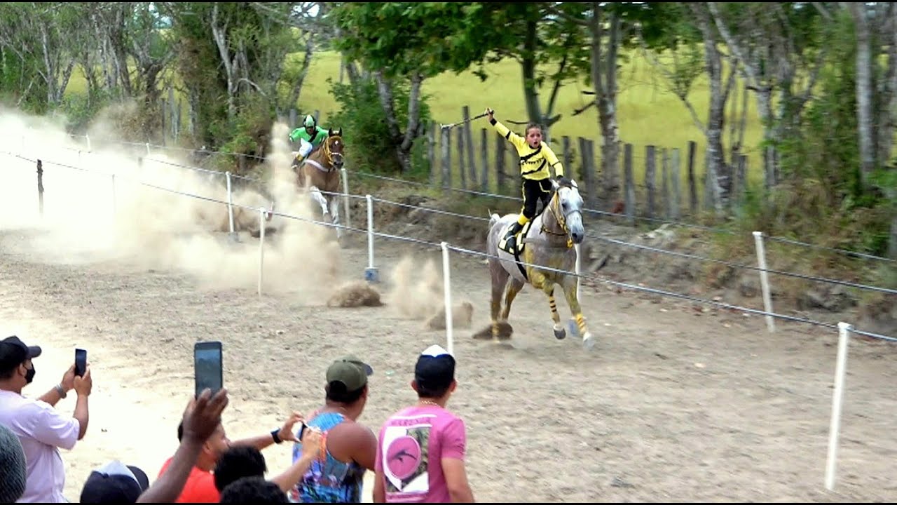 1º grande desafio do ano: Macaco vs Pérola