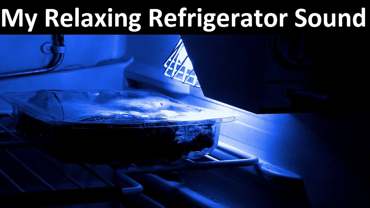 The Relaxing Sound Of My Refrigerator
