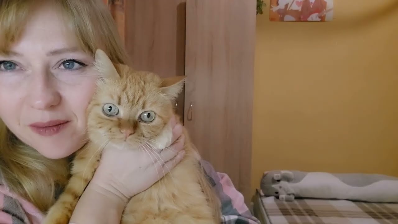 Опускаются руки...Ответы на вопросы 