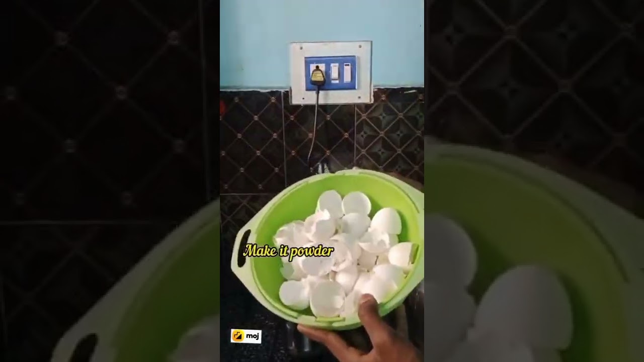 egg shell fertilizer for plants