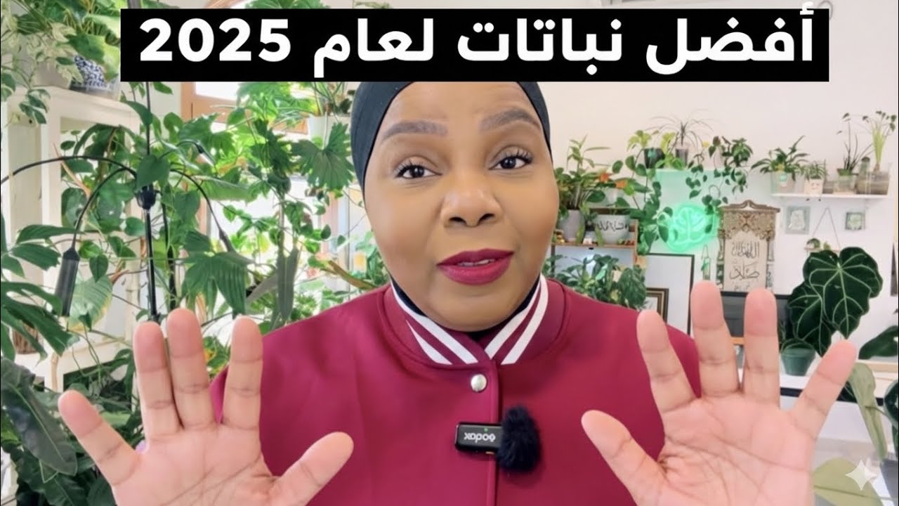 أجمل 10 نباتات داخلية لعام 2025 ✨🪴