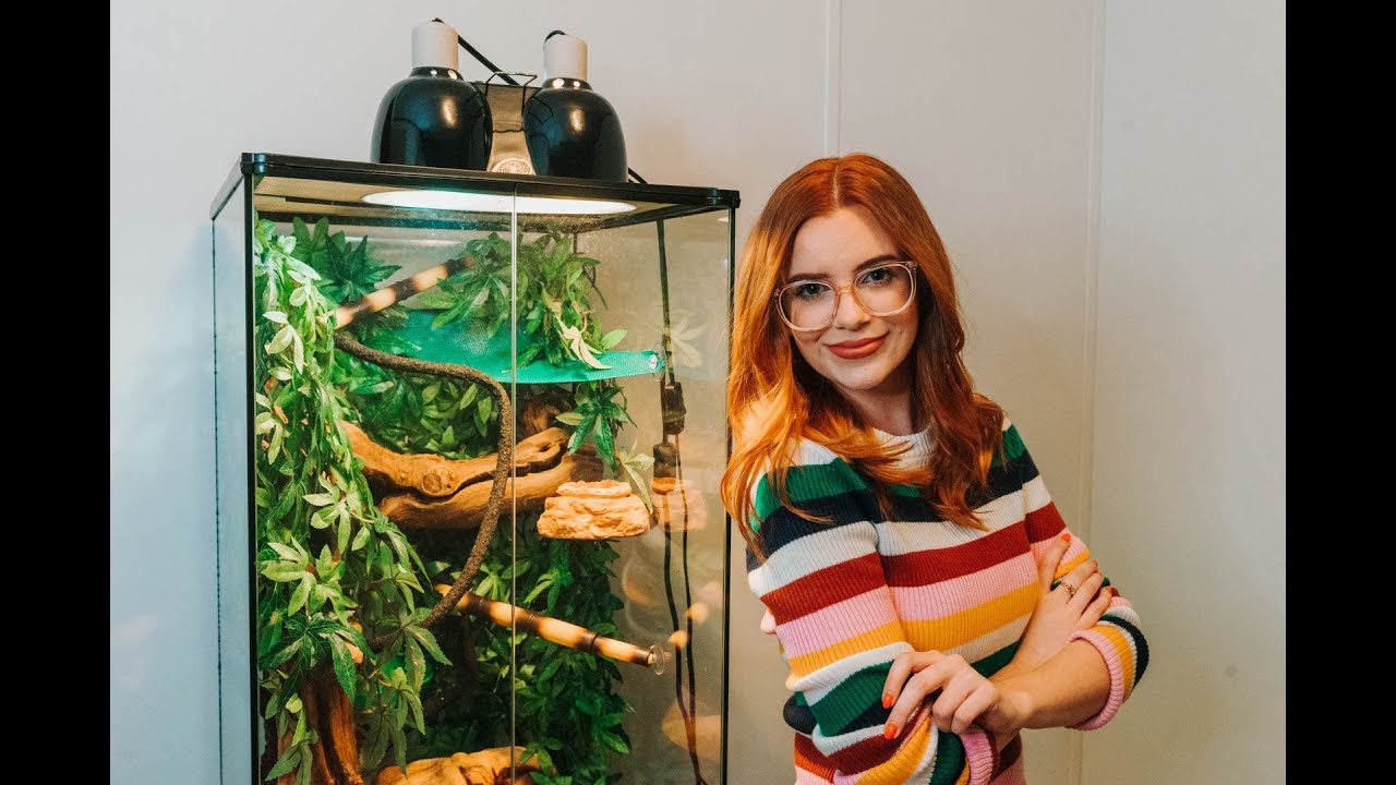 MY WHITES TREE FROG DREAM ENCLOSURE? Exo-Terra Small X-Tall | thoughts + tank tour