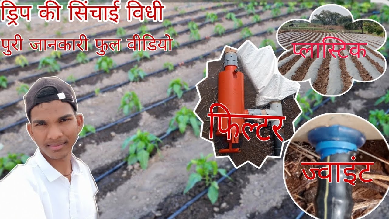 😱ड्रिप लगाना सीखे 😱ड्रिप से फायदा 🤗 सबसे कम पानी में खेती की विधि
