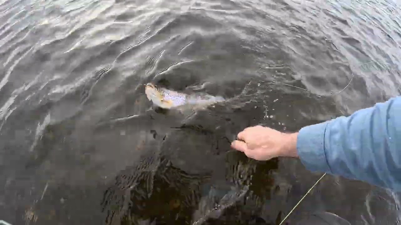 INCREDIBLE TAKES - SEA TROUT FISHING - RIO GALLEGOS - PATAGONIA