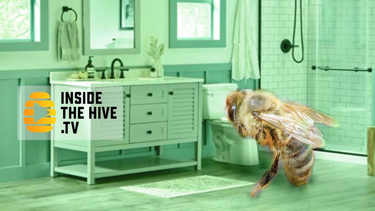 Hygienic Behavior SAVES Honey bees? Apis Mellifera
