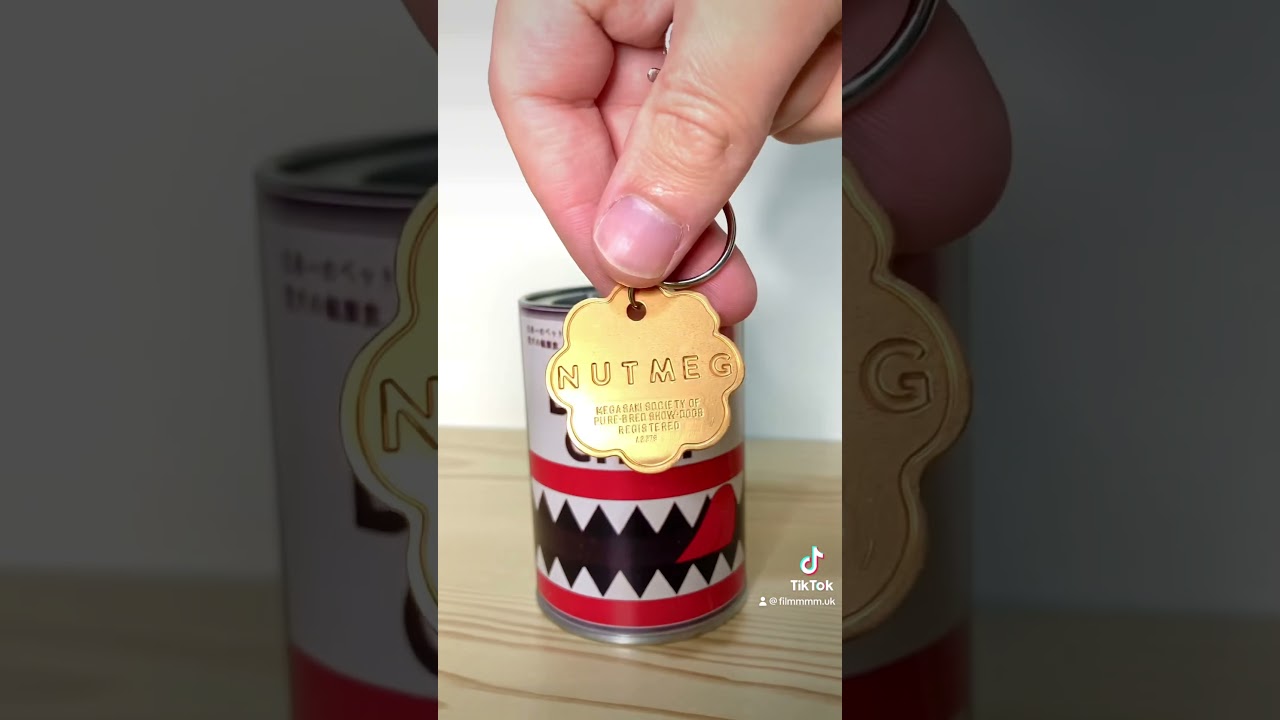 Isle of Dogs Unreleased Merch #wesanderson #isleofdogs #film #merch #asteroidcity