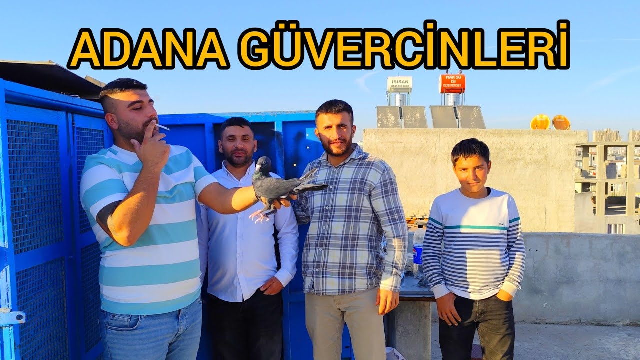 MEŞHUR kuşçu KUDİ FERO | ADANA GÜVERCİNLERİ 15 ÇİFT !?