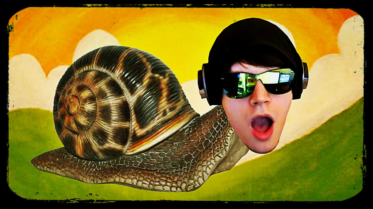 Das LEBEN als SCHNECKE!! Spannung pur.