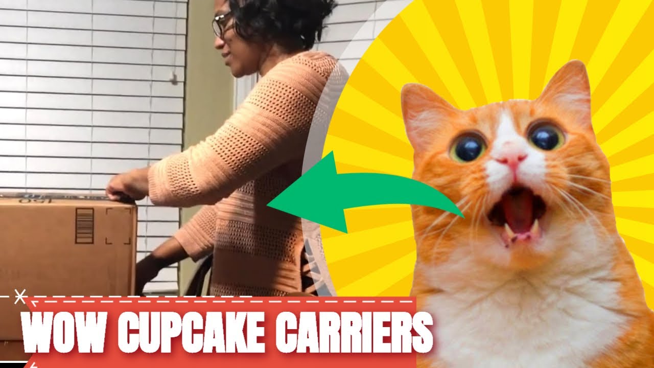 How To Transport Cupcakes With Frosting - Cupcake Holder Product Review by Tiffany G.