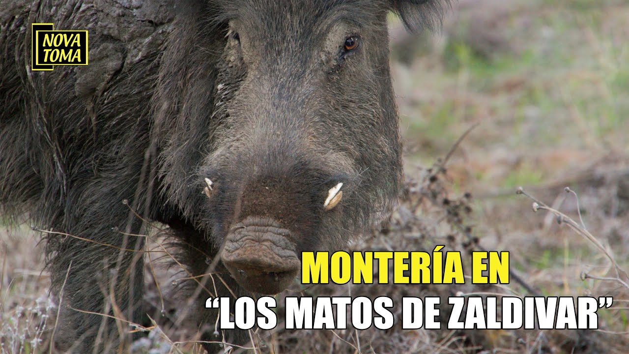 MONTERIA EN LOS MATOS DE ZALDIVAR