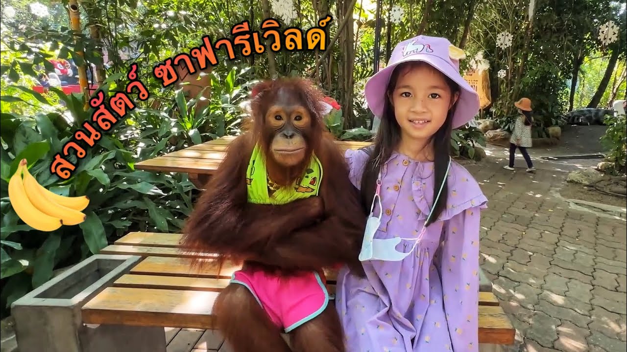 บริ้งค์ไบรท์ | สวนสัตว์ซาฟารีเวิลด์ มีลิง 🐵