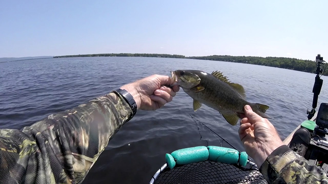 Constance Bay Part II - Is that PARASITES?