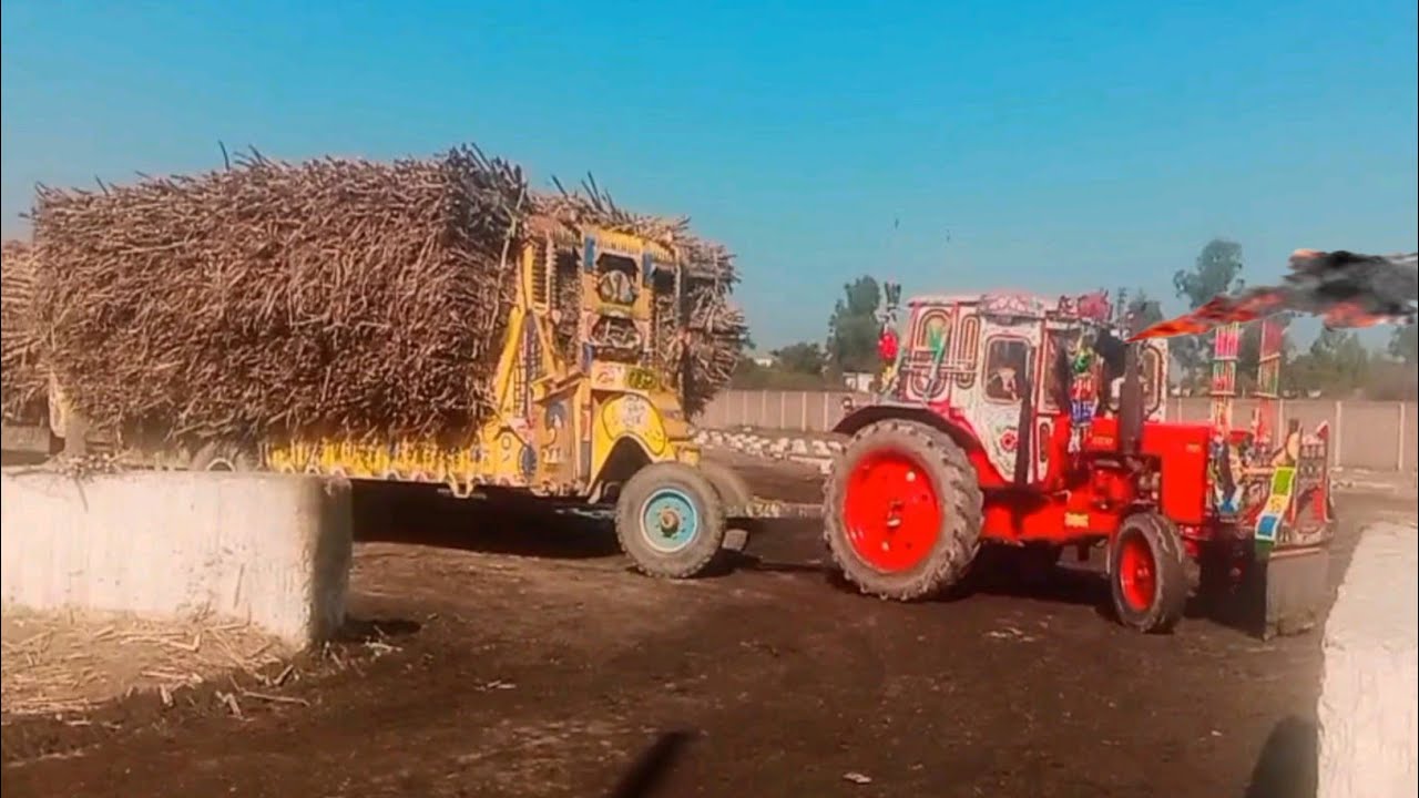 Belarus 95 Hydraulic power unloading sastem    in huda sugar Mill sangla hill | #hills #sugarmills