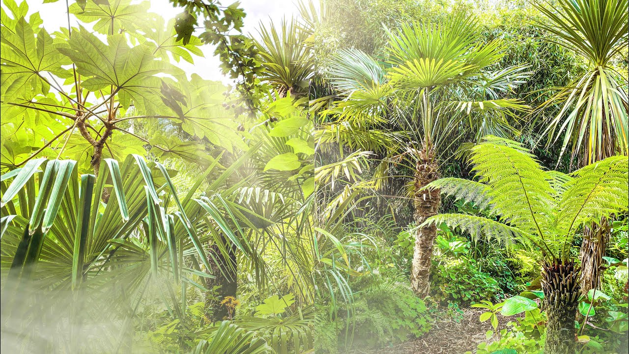 A September Exotic Garden Tour at Winterton, Lincolnshire
