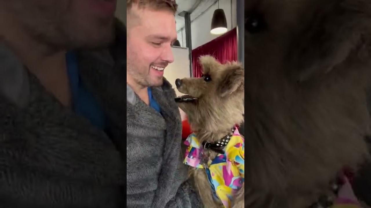 Иэн и Хакер из CBBC ВОССОЕДИНИЛИСЬ!