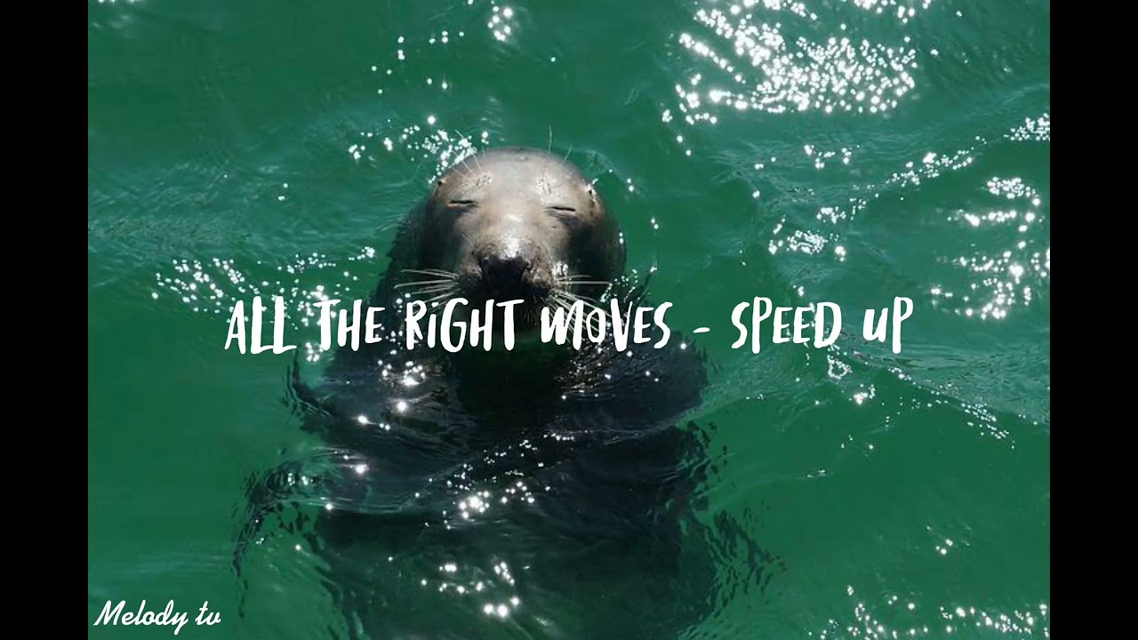 Onerepublic - All the right moves (speed up)