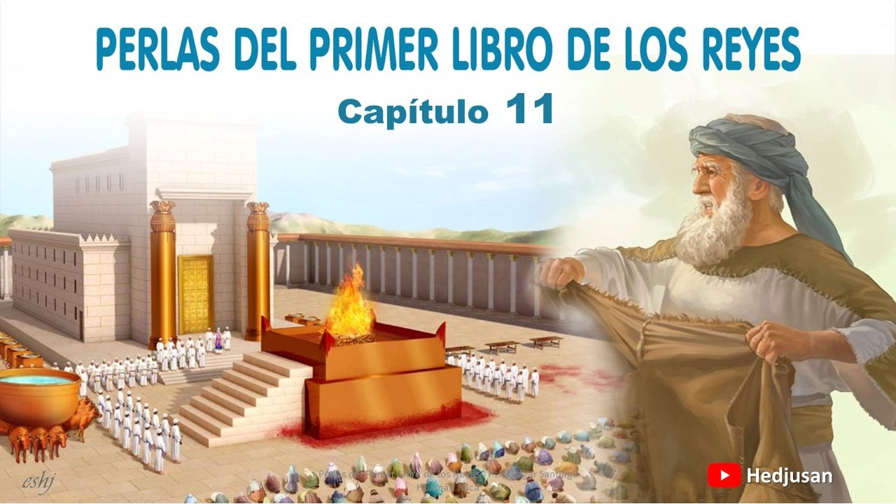Perlas de 1 REYES Capítulo 11 | Reavivados por su palabra #Hedjusan