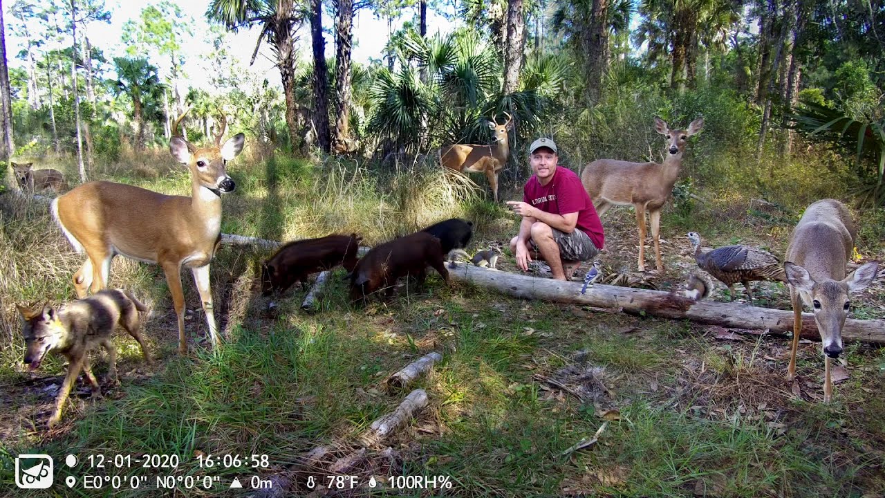 Owlzer 4G Cellular Trail Camera Pickup