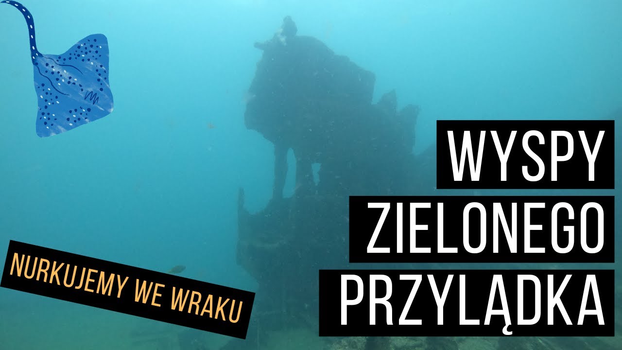 Nurkujemy na Cabo Verde - płaszczki, rozdymki i mureny nas zachwycają