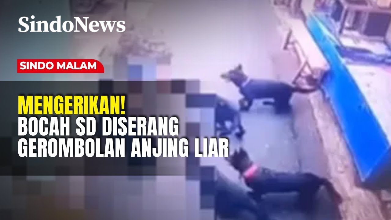 Sindo Malam 03 Februari 2026 Segmen 1