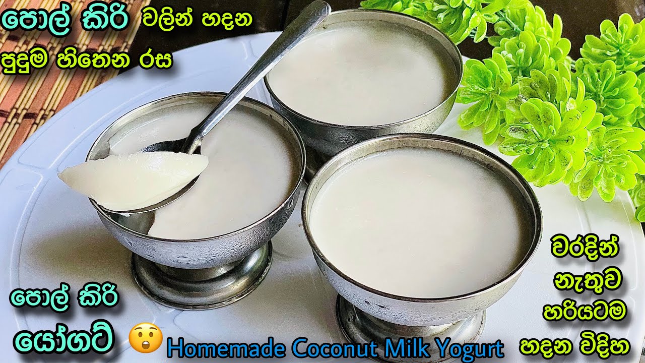 ✔️මේක නම් පුදුම රසයක්😲මේ දවස් වල හැමෝම වගේ හදන පොල් කිරි යෝගට් එක👌Coconut Milk Yogurt🤤Make With Madu