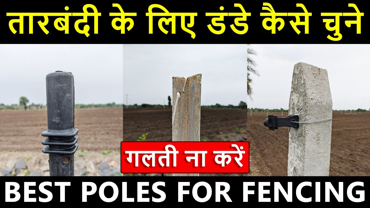 बाड़ के लिए डंडे (Poles) कैसे चुने | खेत की तारबंदी कैसे करें | Khet ki tarbandi kaise kare