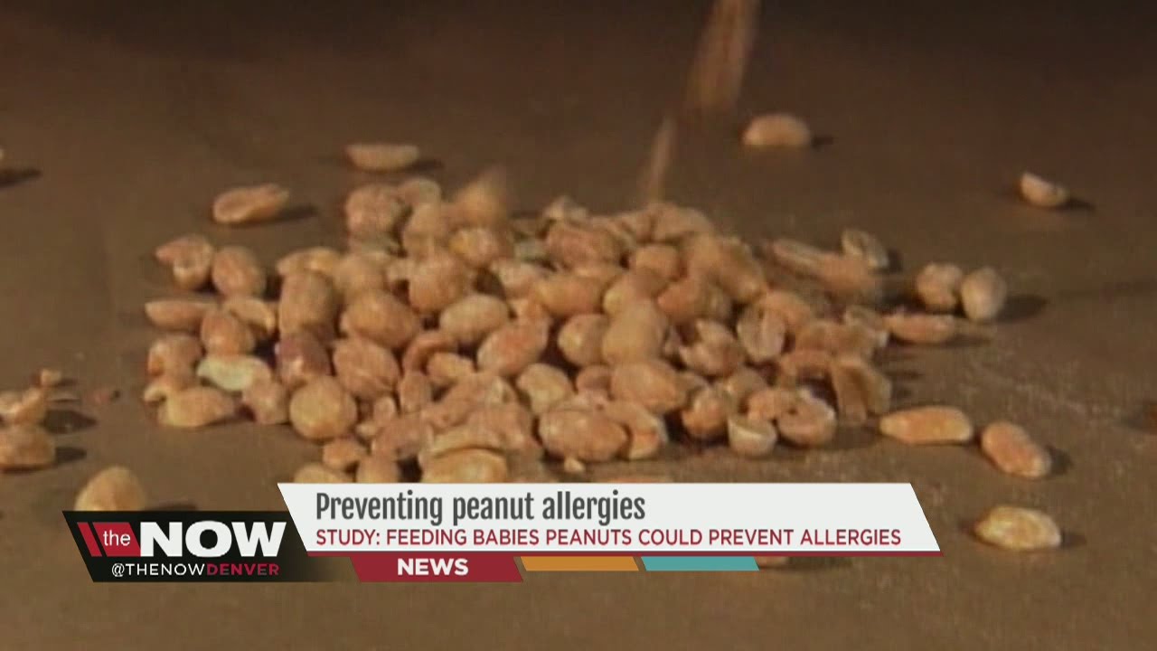 New research on preventing peanut allergies