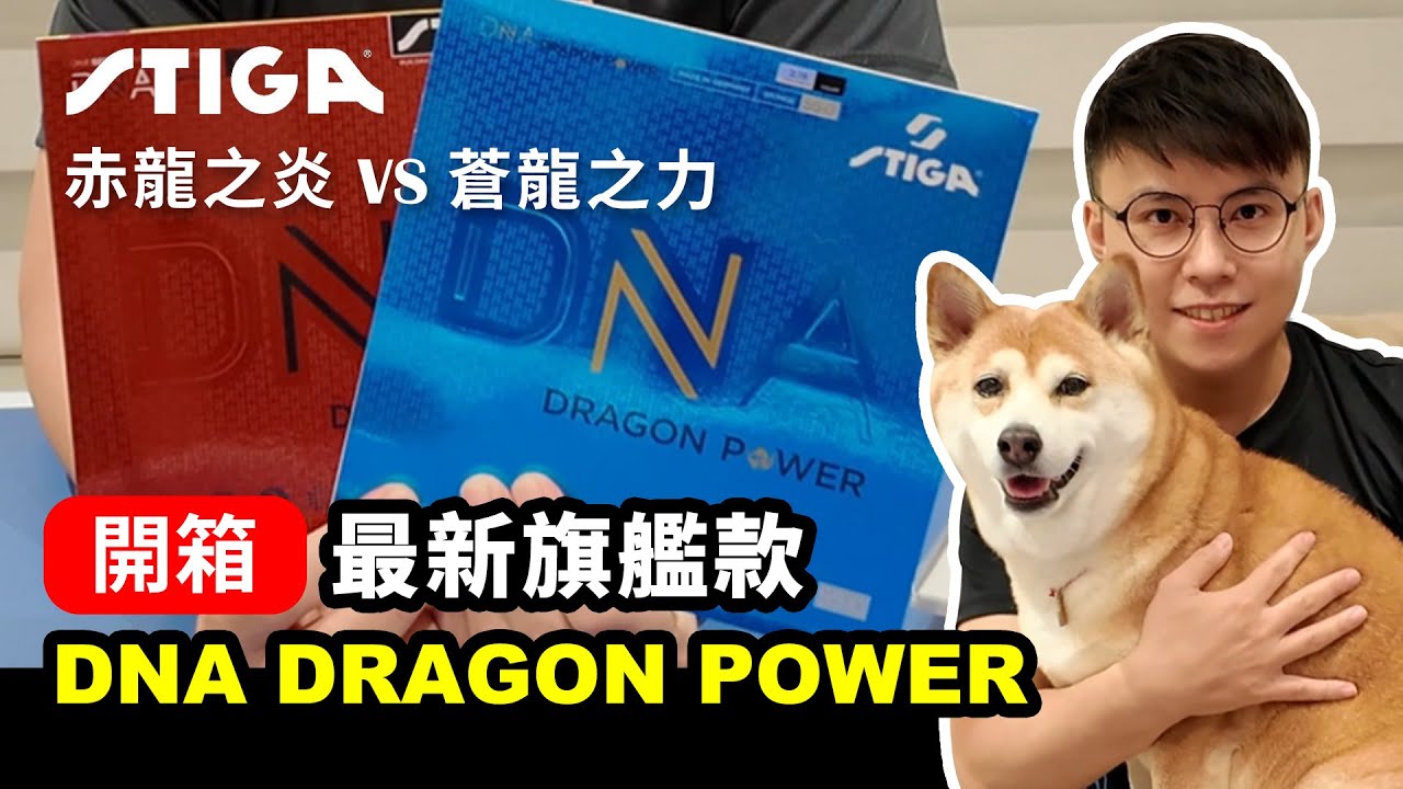【硬要開箱】STIGA DRAGON POWER Review！蒼龍 vs 赤龍，哪隻龍更適合你呢？ #tabletennis #桌球 #卓球 #stiga #乒乓 #butterfly #D09c