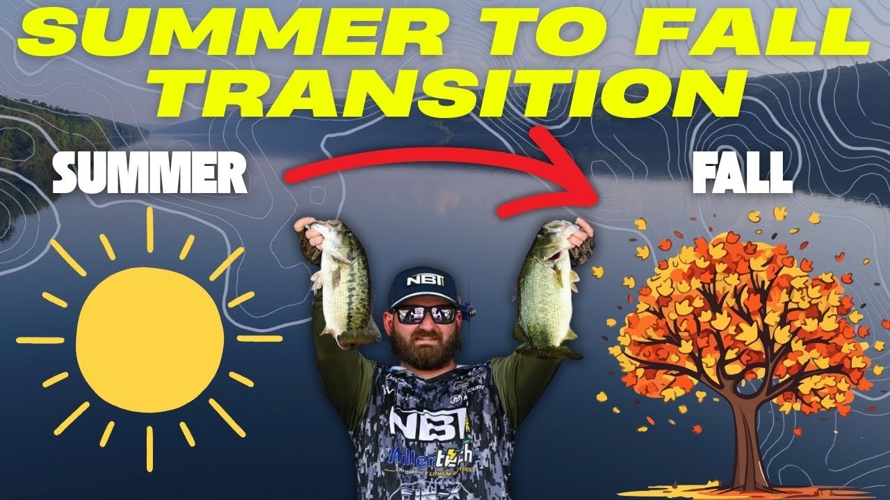 Pro Tips to Catch More Bass in the Summer to Fall Transition!