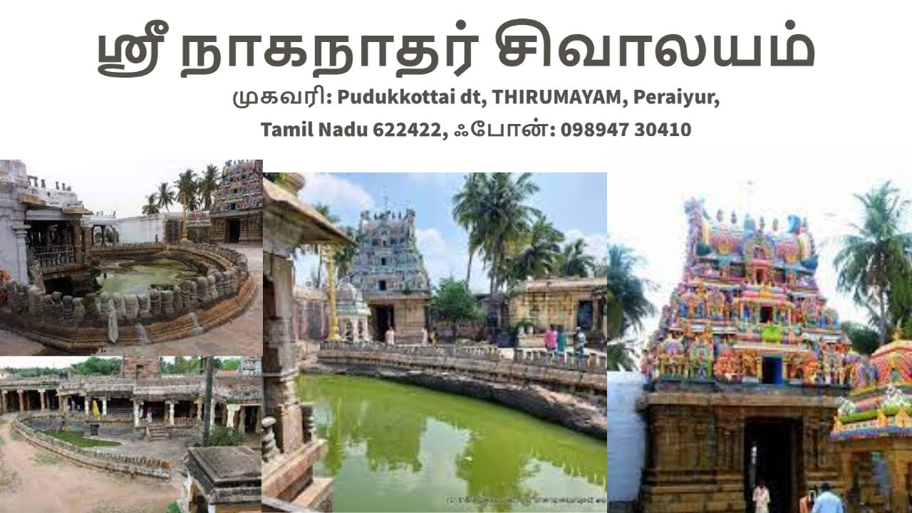 PUDUKKOTTAI PERAIYUR NAGANATHAR TEMPLE VISIT | புதுக்கோட்டை பேரையூர் நாகநாதர் கோவில் தரிசனம்