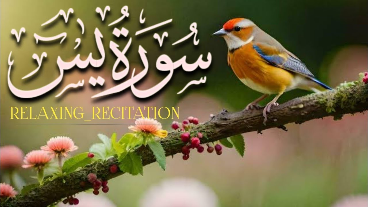 Surah Yaseen | Beautiful Yaseen Shareef | Yasin | Full With Arabic | Sada E Yaseen | Ep 154
