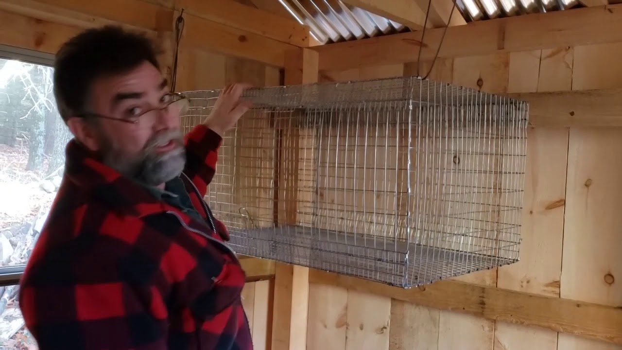 Hanging homemade wire rabbit cages in the bunny bunker / rabbit hutch.