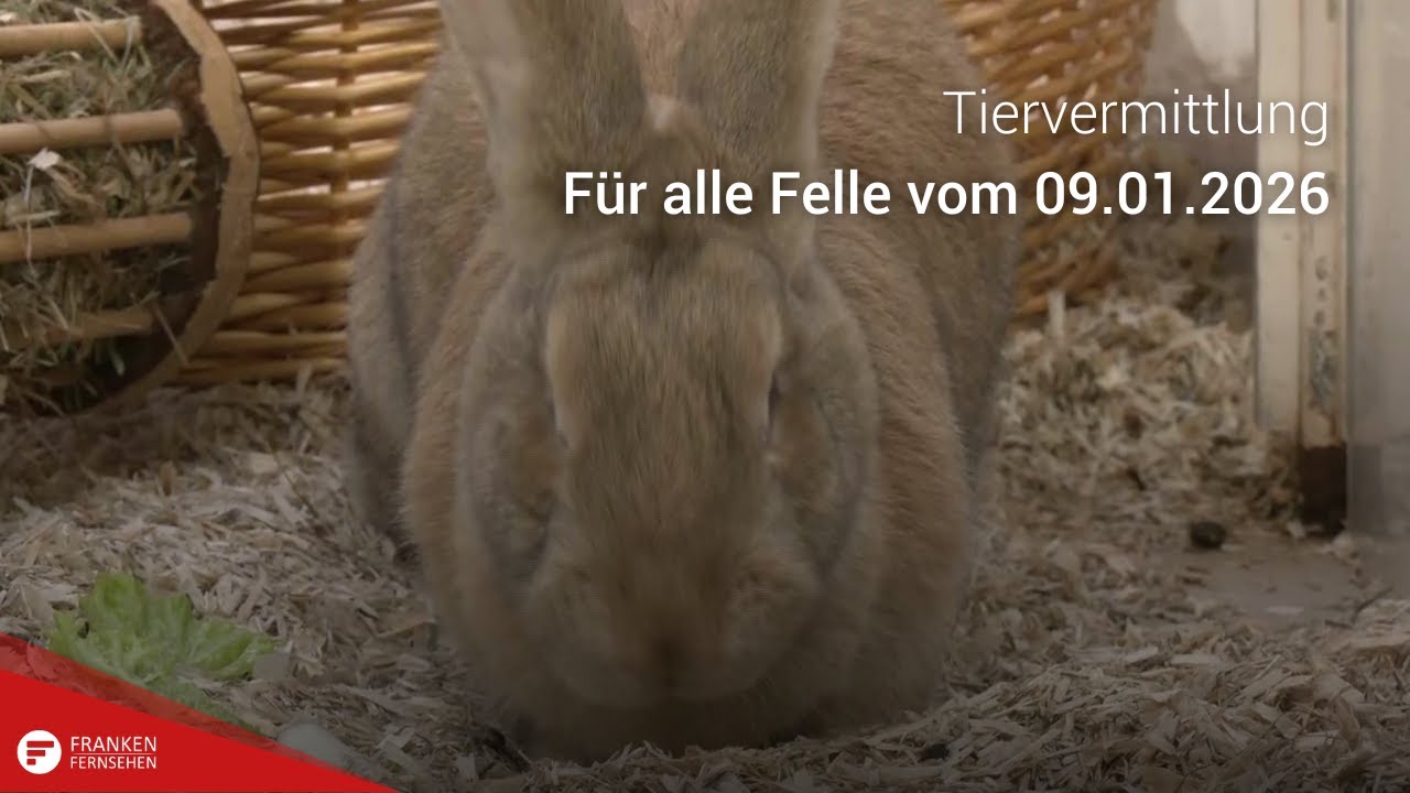 Tiervermittlung: F&uuml;r alle Felle vom 09.01.2026