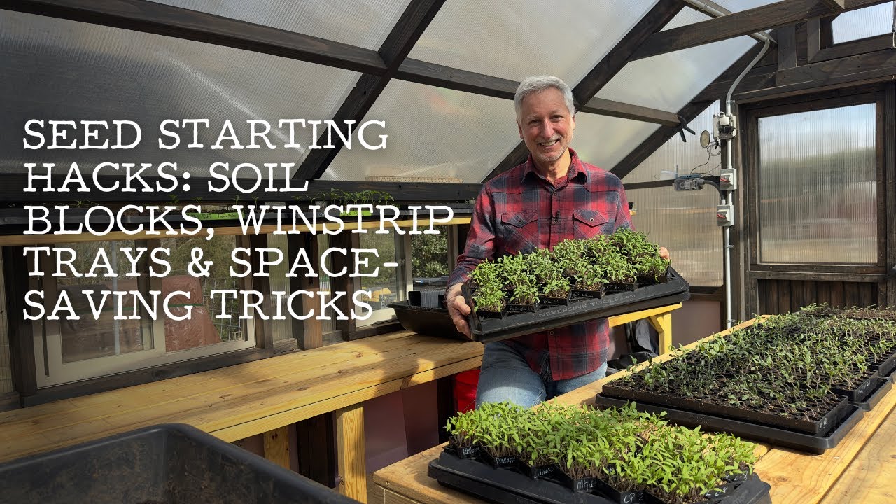 Seed Starting Hacks: Soil Blocks, WinStrip Trays & Space-Saving Tricks