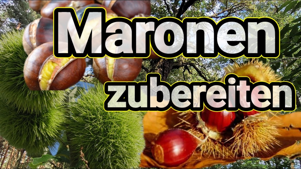 Maronen zubereiten (schnell) Maronen im Backofen rösten Maronie einfach zubereiten