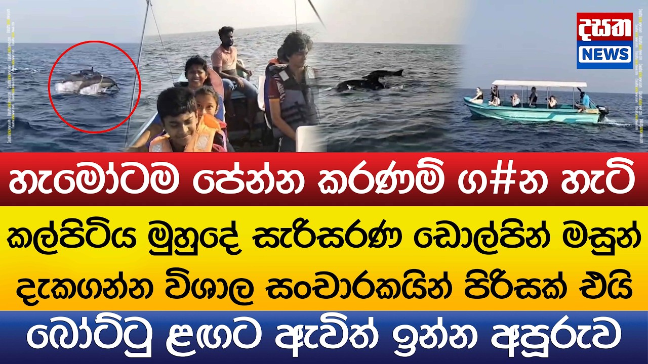 ඩොල්පින්ලා හරි අපූරුවට කරණම් ග#න හැටි..කල්පිටියට විශාල සංචාරකයින් පිරිසක් ඇදෙයි
