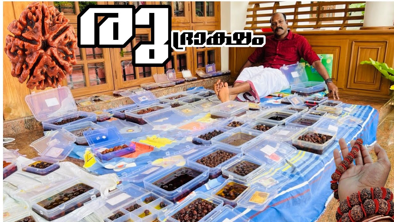 രുദ്രക്ഷം കണ്ടാലോ || rudraksham kandalo