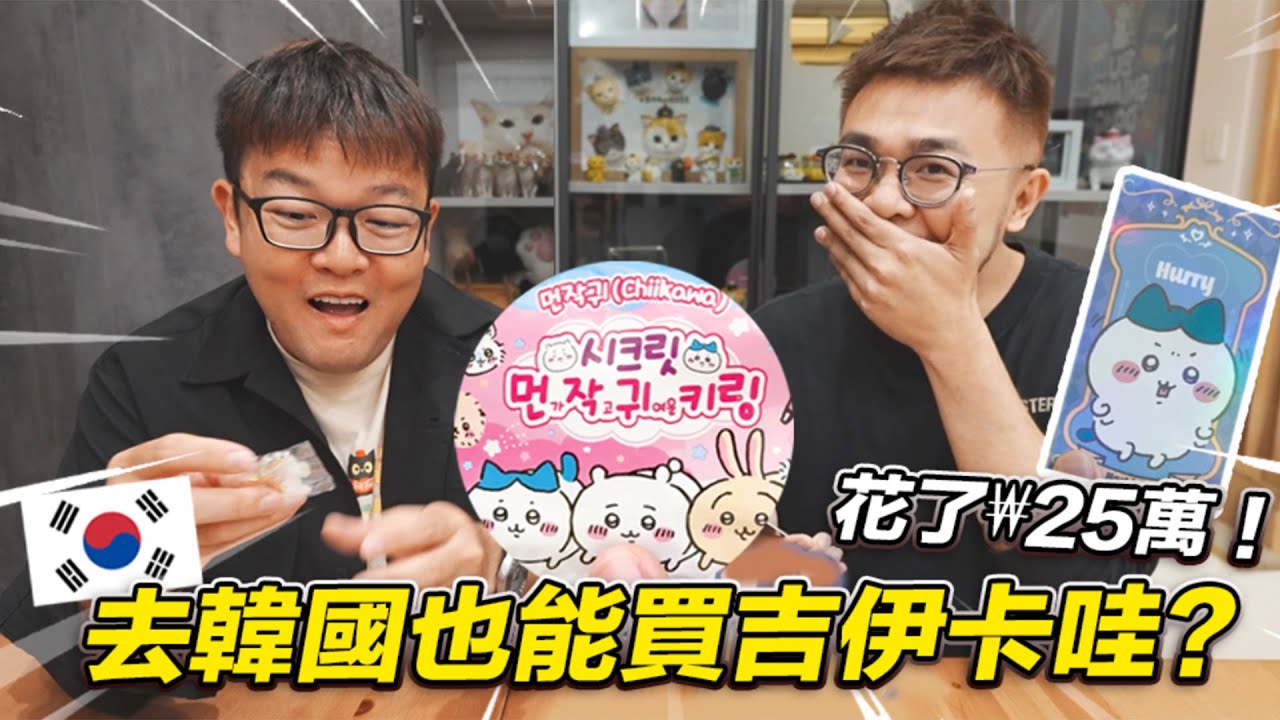 【去韓國也能買吉伊卡哇？花了₩25萬！】志銘與狸貓
