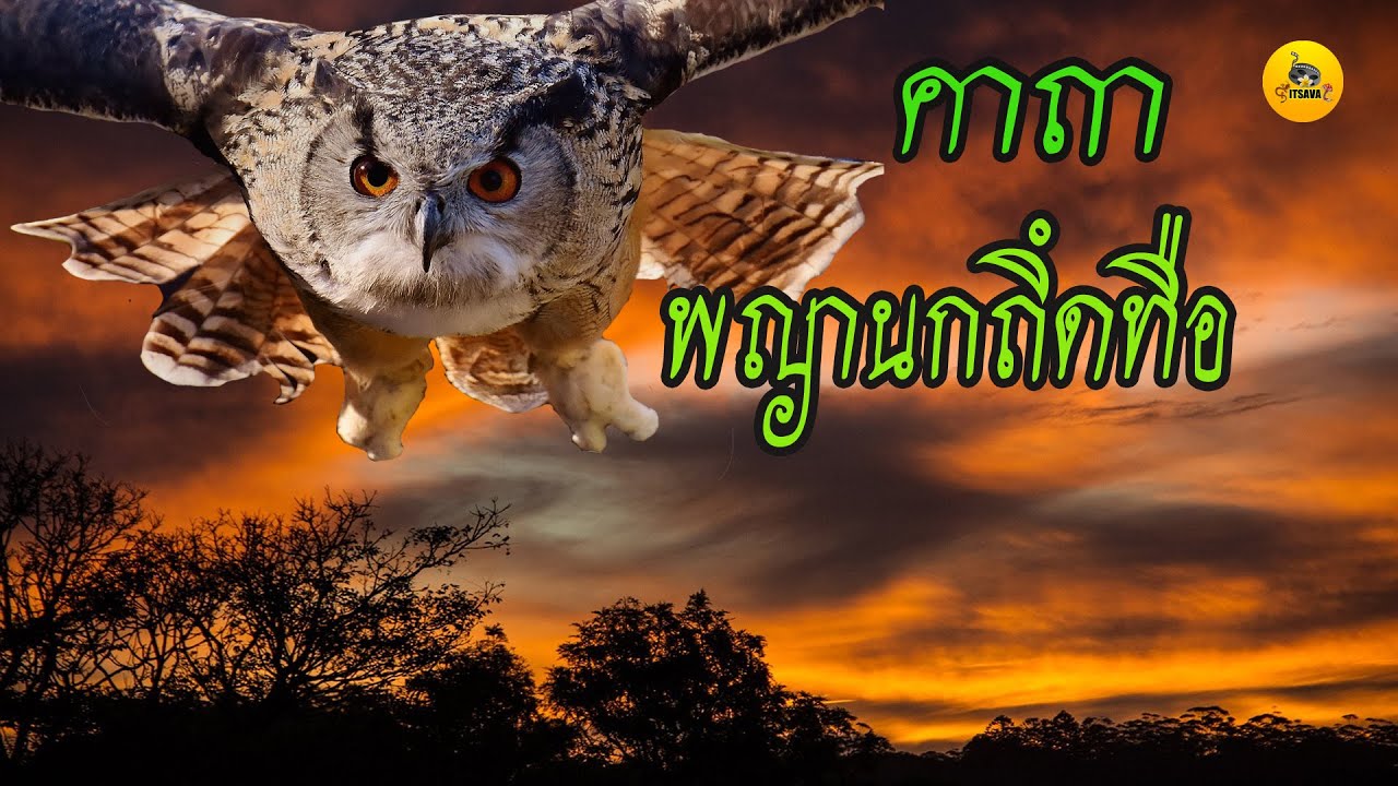 คาถาพญานกถึดทือ