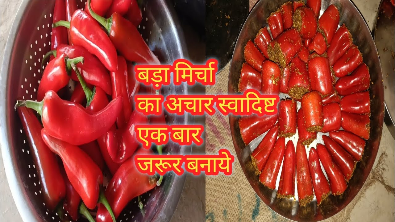 बड़े मिर्ची का स्वादिष्ट अचार 🌶️🌶️🌶️🌶️🌶️