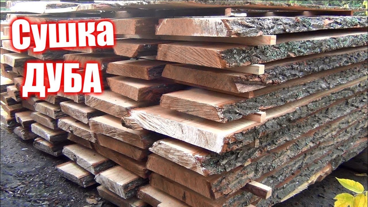 Сушка ДУБА, как дед учил