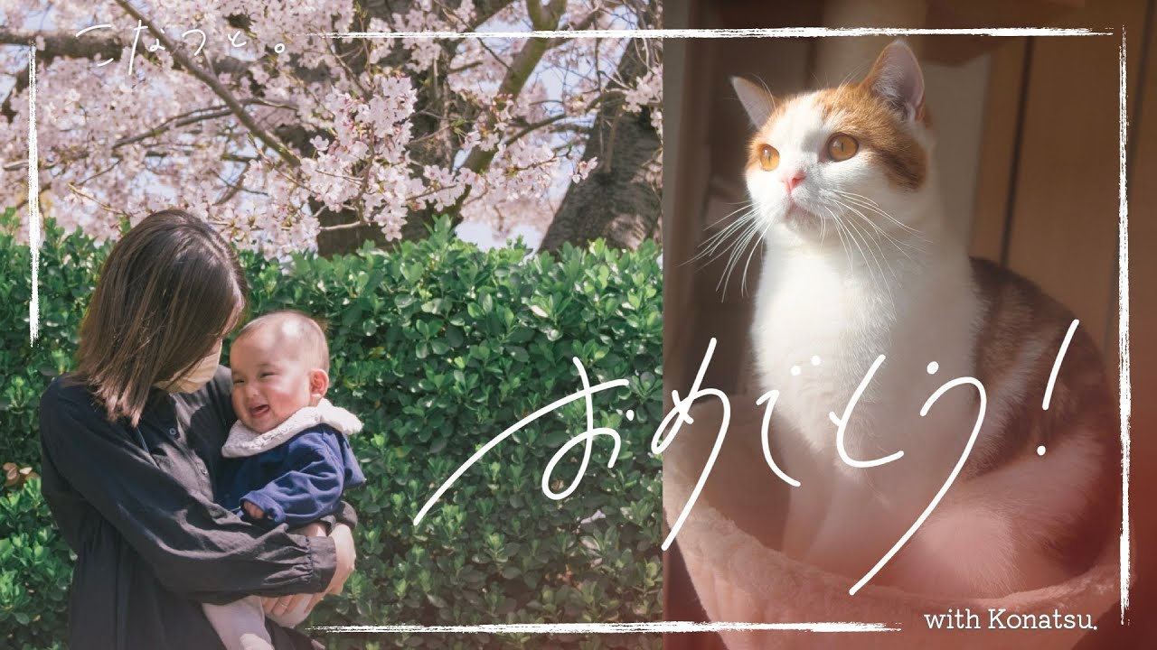 【猫と赤ちゃん】妹はついに保育園へ！帰宅後、どうしても一緒に寝たい猫がかわいい…
