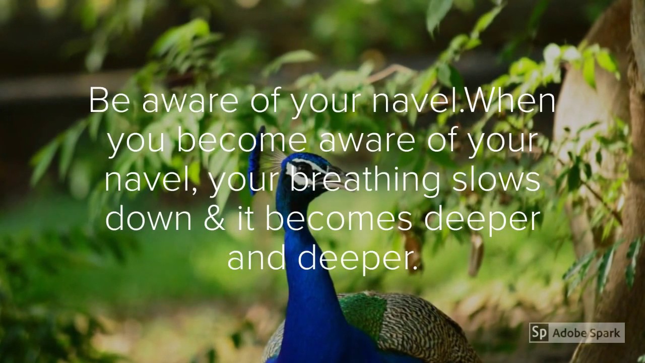 Navel is the center. Navel meditation for beginners.