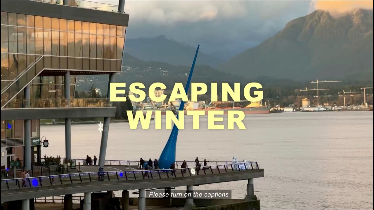 Escaping winter in Vancouver, visiting a cat cafe, riding a gondola, Whistler