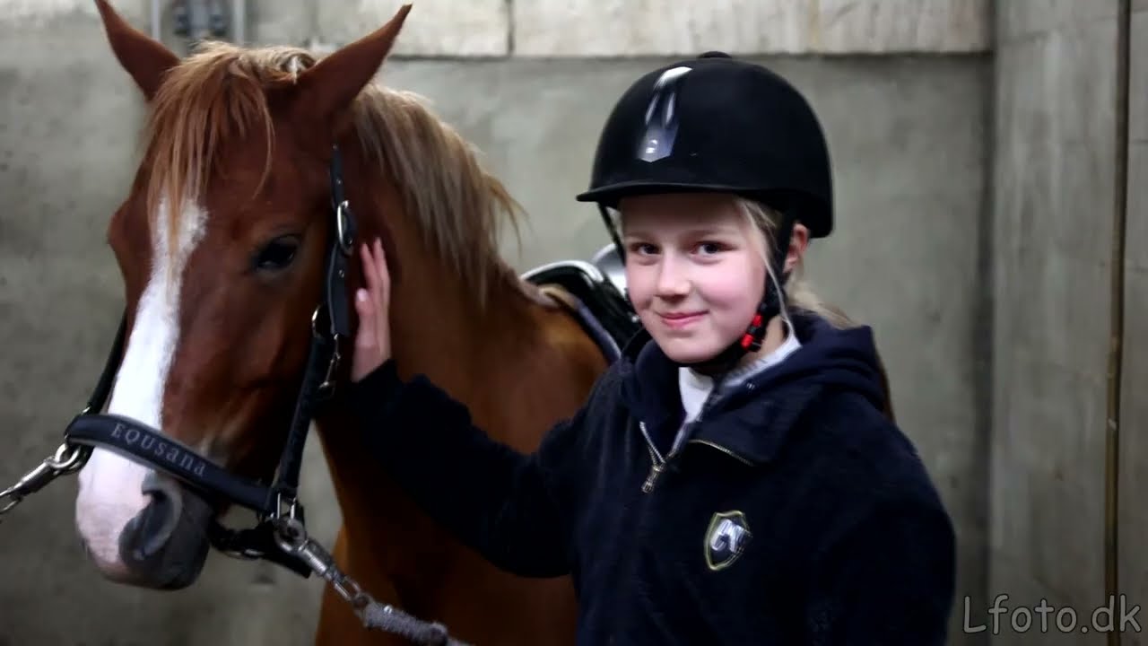 Efterårs Rytterlejr Morsø rideklub 2023